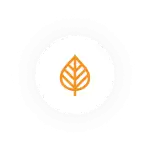Sen Massage Spa